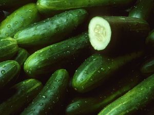 Fresh Cucumber