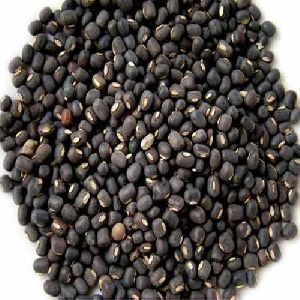 Black Urad Dal