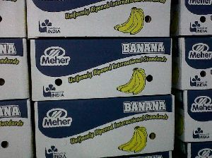 Fresh Banana
