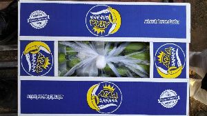 Fresh Banana