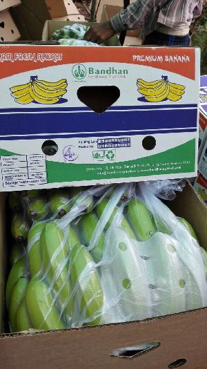 Fresh Banana
