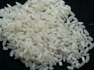 Short Grain Non Basmati Rice