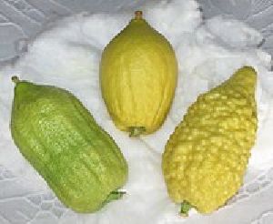Citrus Fruit