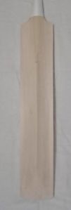 Kashmir Willow Cricket Bat Grade First