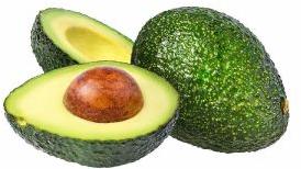 Fresh Avocado