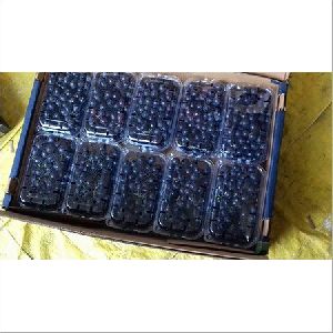 Fresh Black Grapes