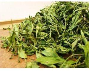 Organic stevia dry leaf