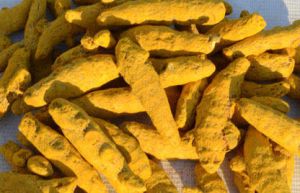 Erode Turmeric Finger