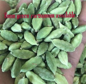 Cardamom