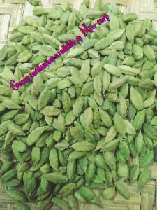 Green Cardamom