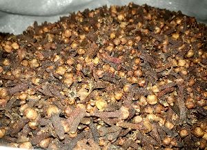 Clove