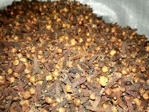 Clove