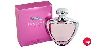 Women Perfume