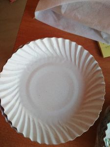 6-7 inch paper plates