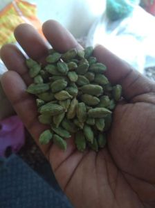 Green Cardamom