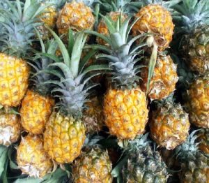 Fresh Pineapple