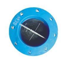 Dual Plate Check Valve