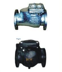 Non Return Valve