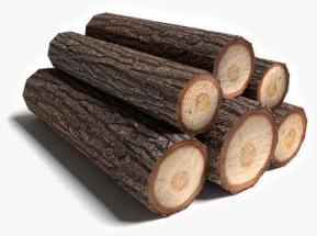 Jungle Wood Logs