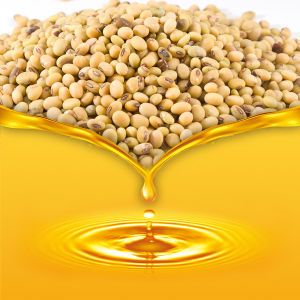 Refined Soyabean Oil