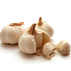 Organic Garlic