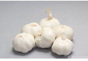 Whole Garlic