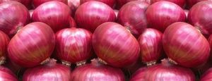 organic red onion