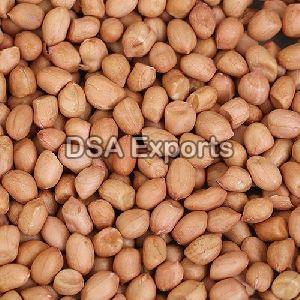 Ground Nuts