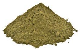 Dried Sonamukhi Powder