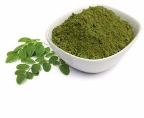 DRUMSTICK LEAVES POWDER