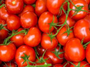 Fresh Hybrid Tomato