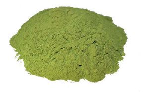 Herbal Stevia Leaves Powder