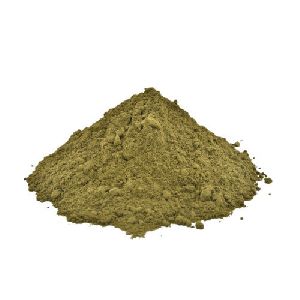 Organic Sonamukhi Powder