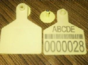 Polyurethane RFID Animal Ear Tag