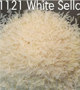 1121 white sella Rice