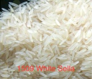 1509 White Sella Rice