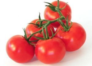 Fresh Natural Tomato