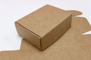 Brown Paper Box