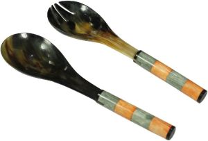 Horn Spoon set