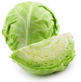 Fresh Green Cabbage