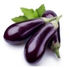 Fresh Brinjal