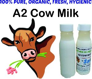 A2 Gir Cow Milk