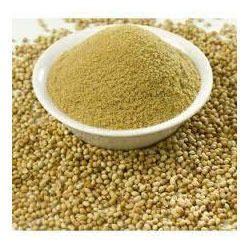 Coriander Powder