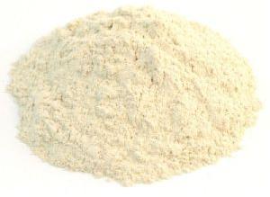 Shatavari White Powder