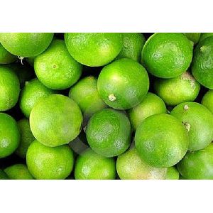 Fresh Green Lemon