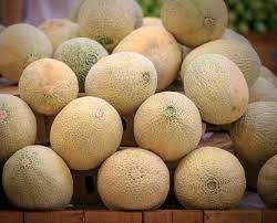 Fresh Muskmelon