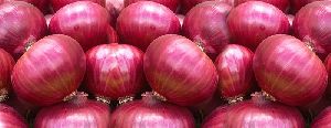 Big Red Onion