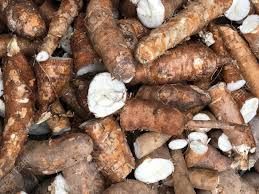 Organic Cassava