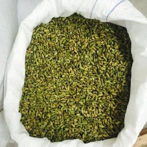 Green Cardamom