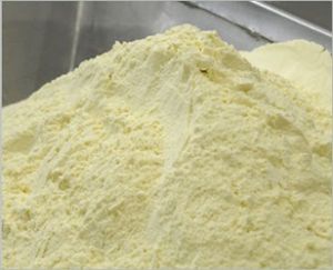 Skimmed Milk Powder (SMP)